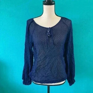 Anthropologie Ella moss silk sheer long sleeve blue blouse in size large